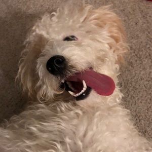 Meet your Posher, Mariah